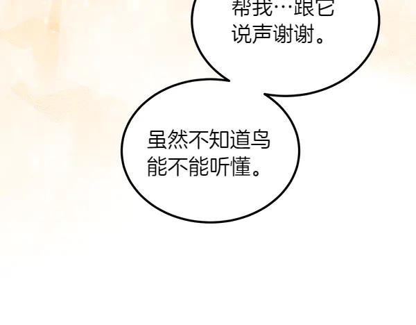 第242页