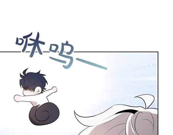 第243页