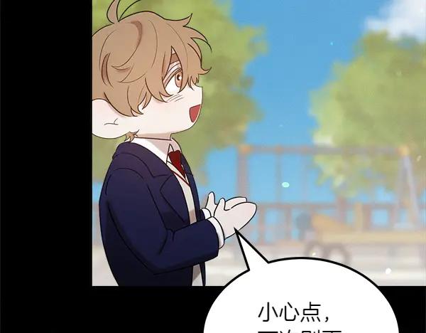 第223页