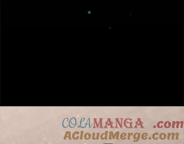 第229页