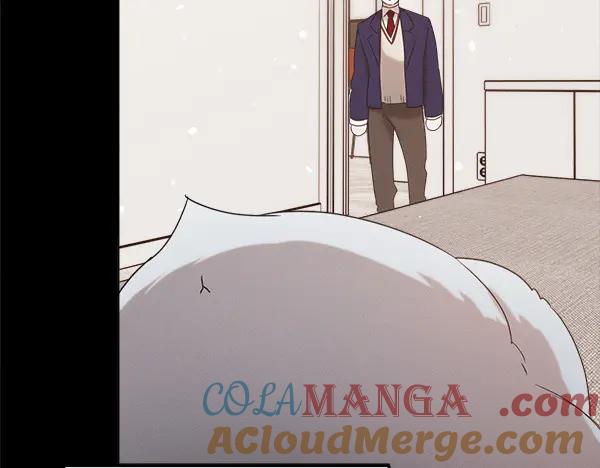 第233页