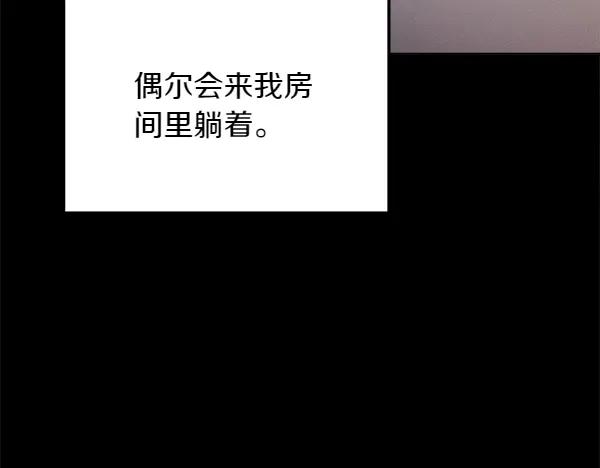 第234页