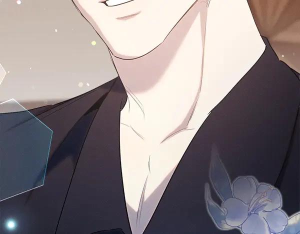 第208页