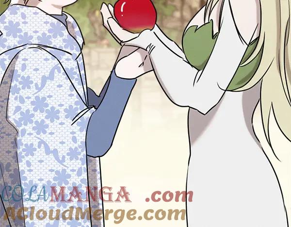 第213页