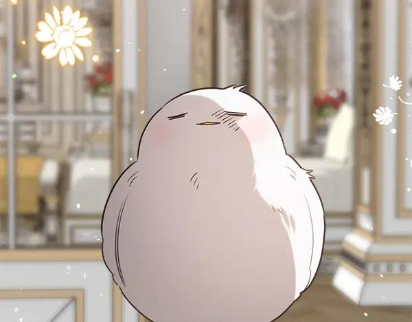 第206页