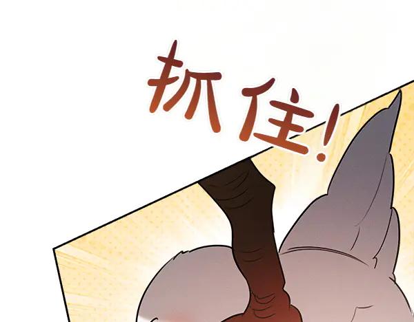 第215页