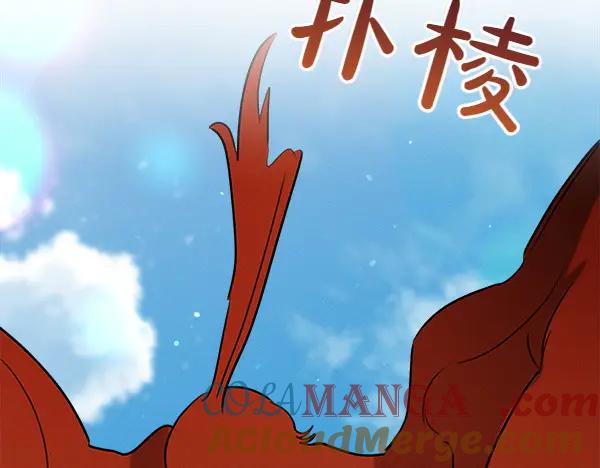 第217页