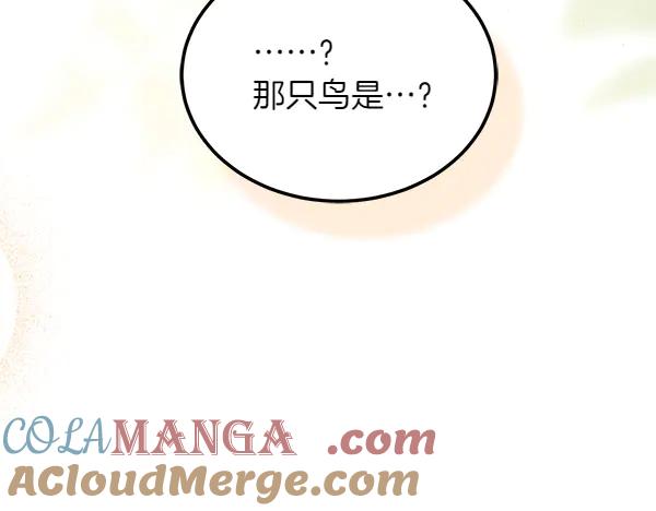 第241页