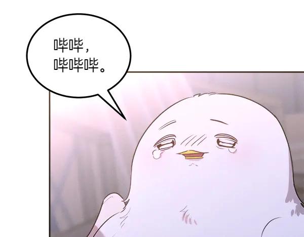 第215页
