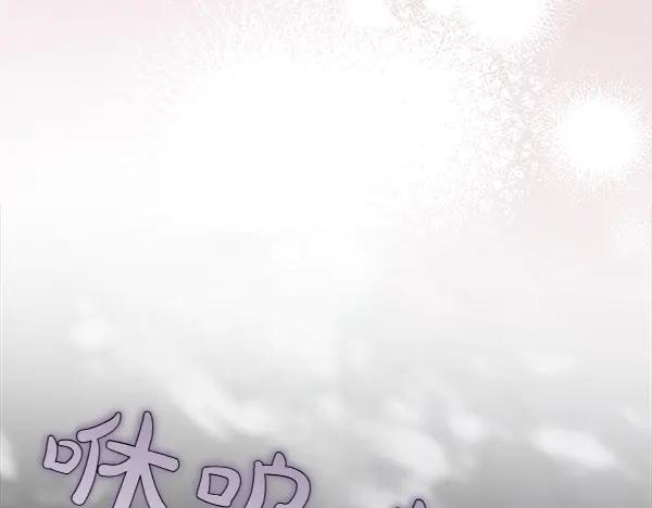 第255页