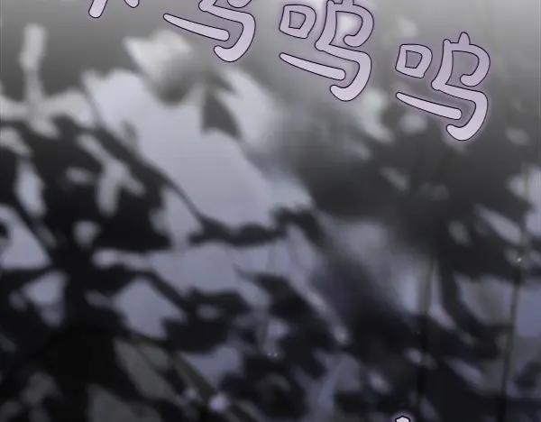 第256页