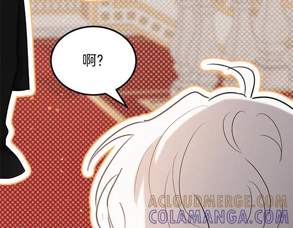 第213页