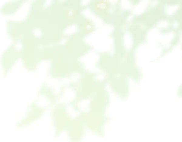 第276页