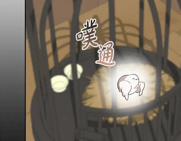 第202页