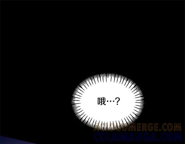 第217页