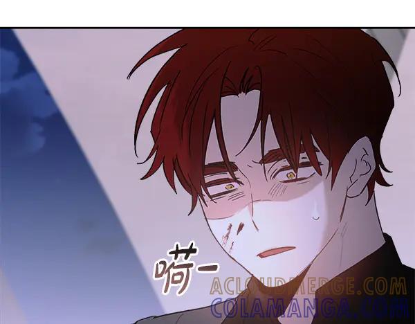第185页