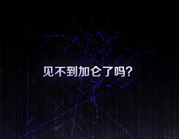 第246页
