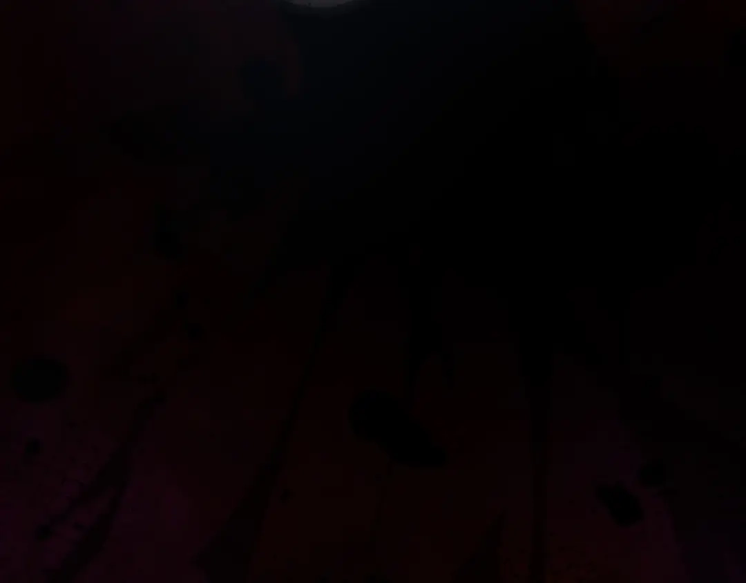 第183页