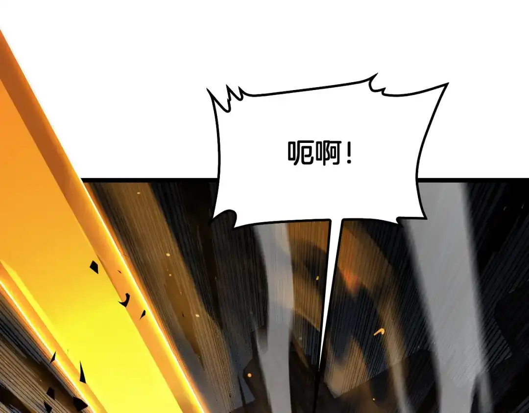 第215页