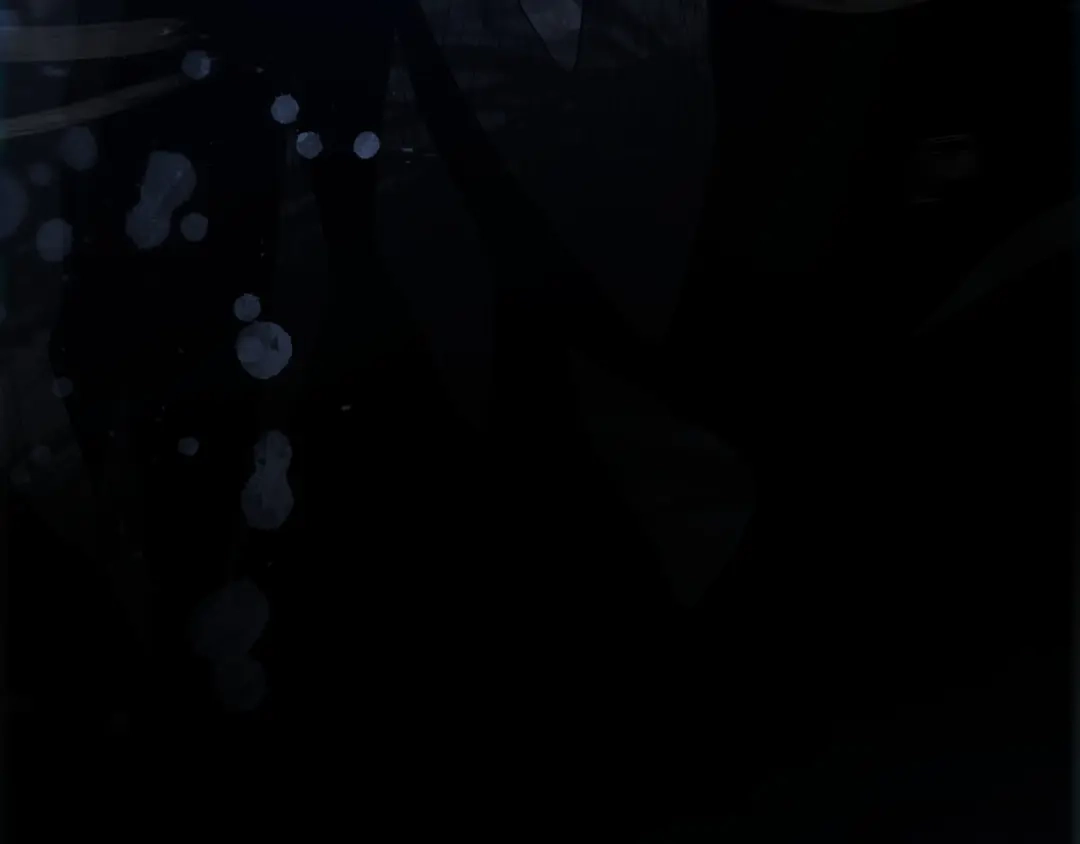 第347页