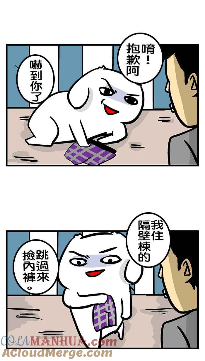 第43页
