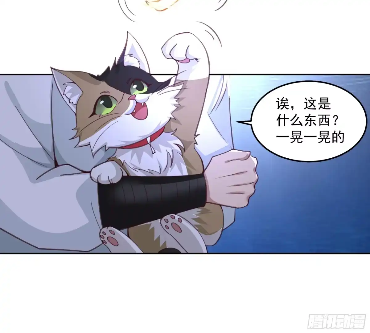 第43页