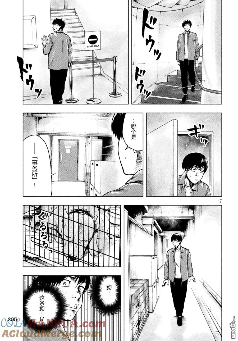 第17页