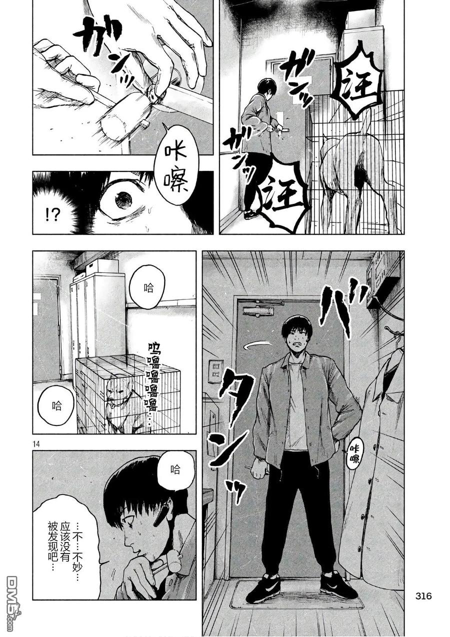第14页