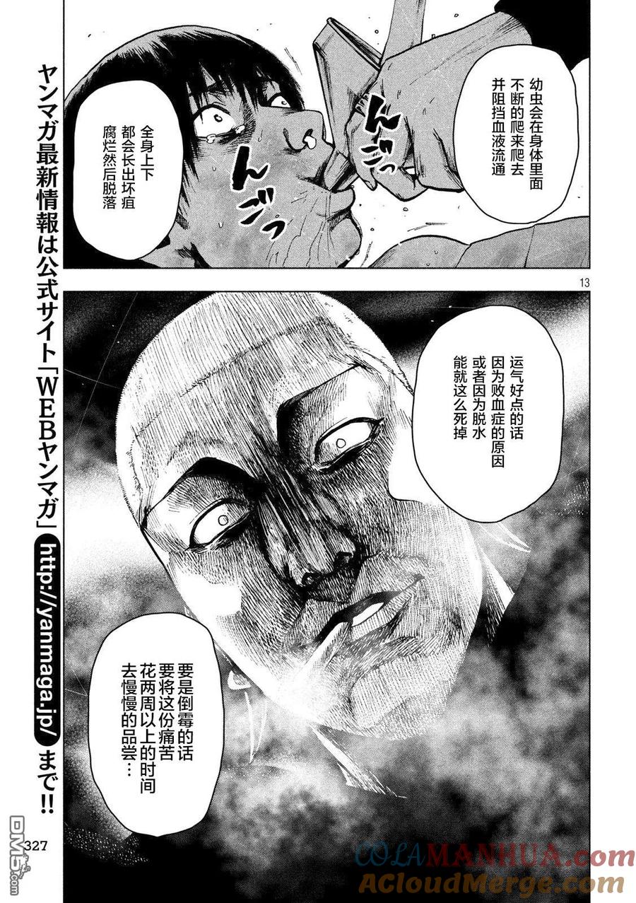 第13页