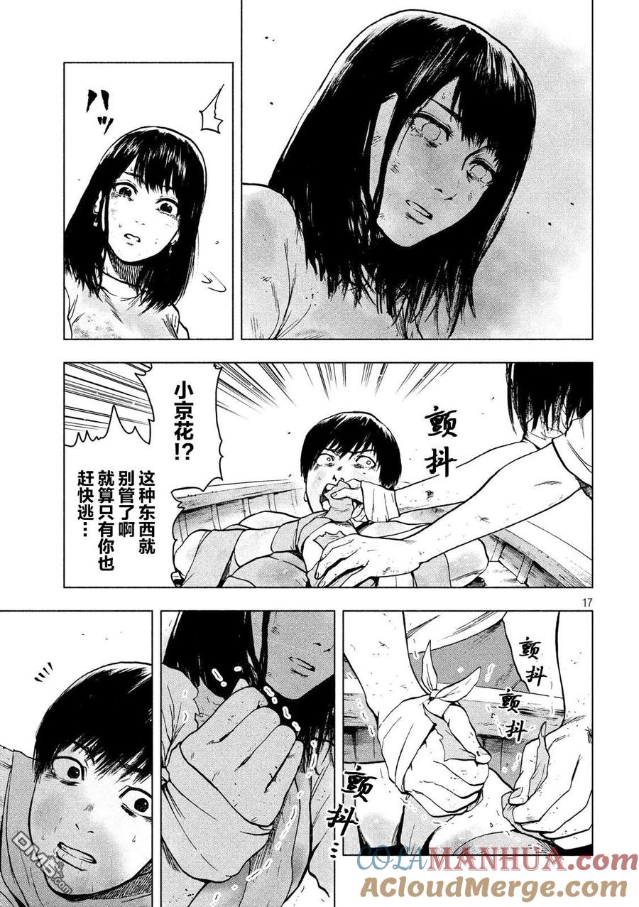 第17页
