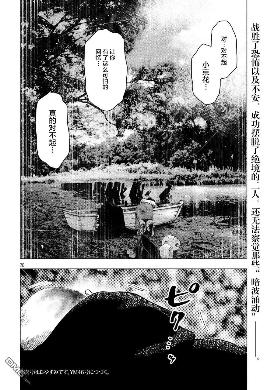第20页