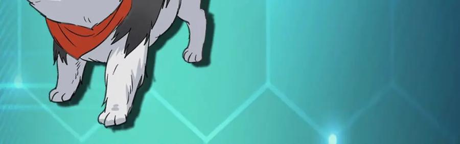 第216页