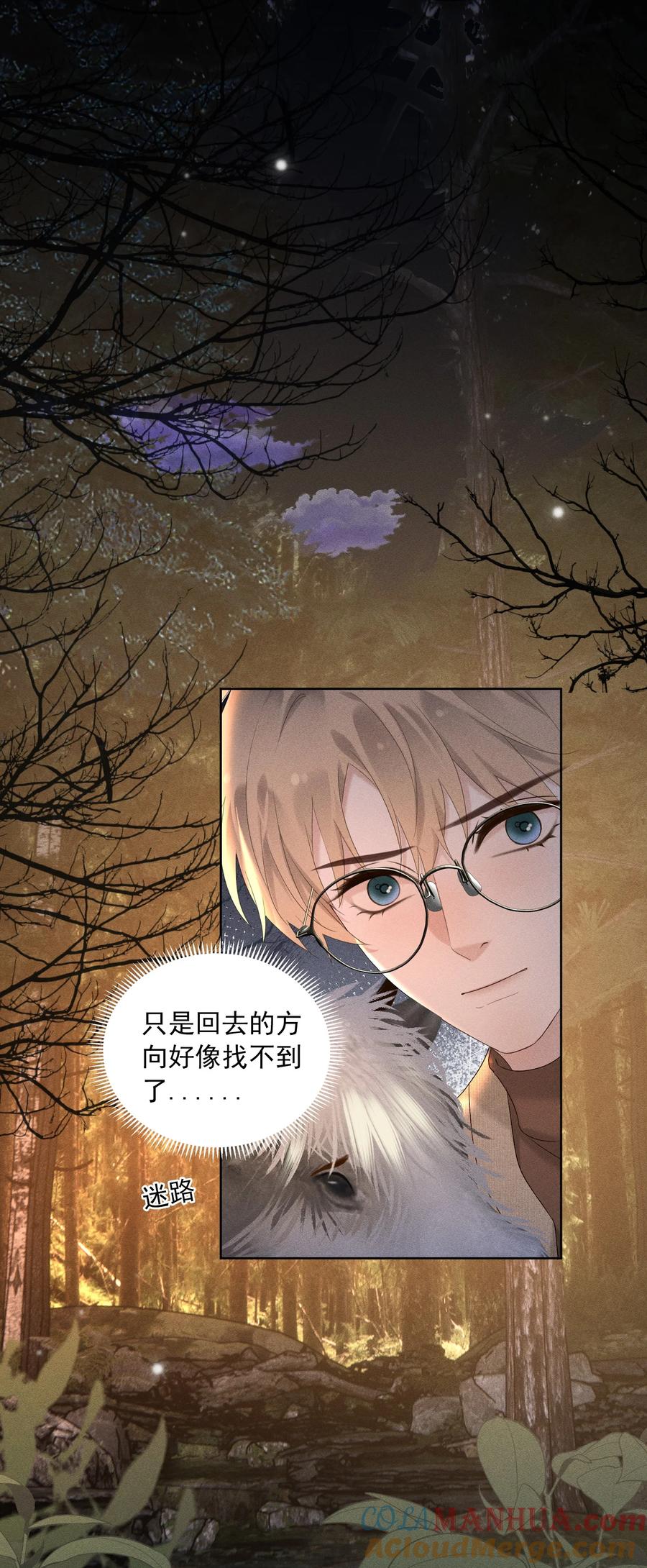 第41页