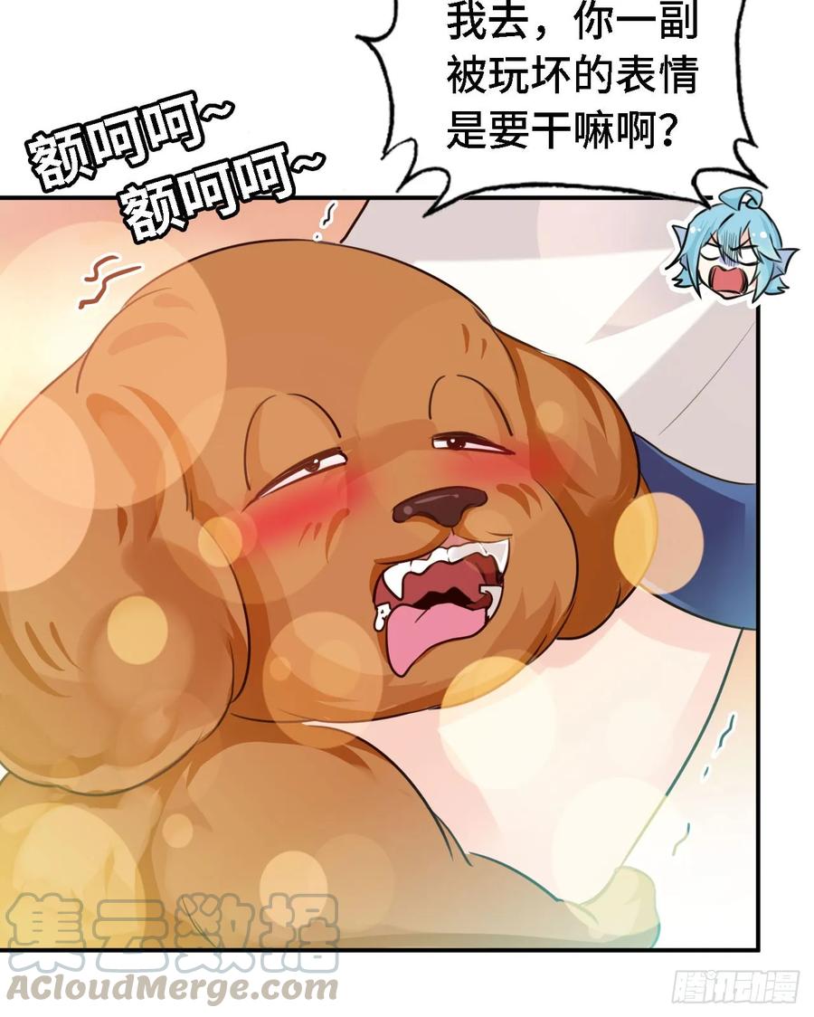 第57页