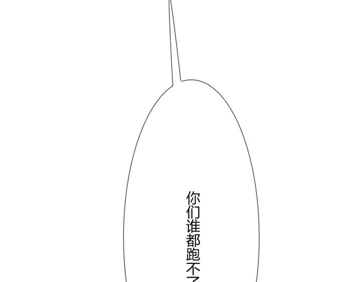 第223页