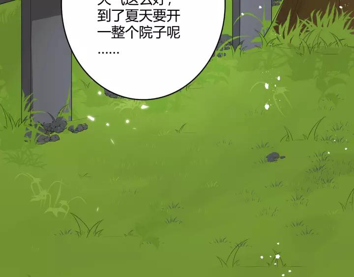 第260页