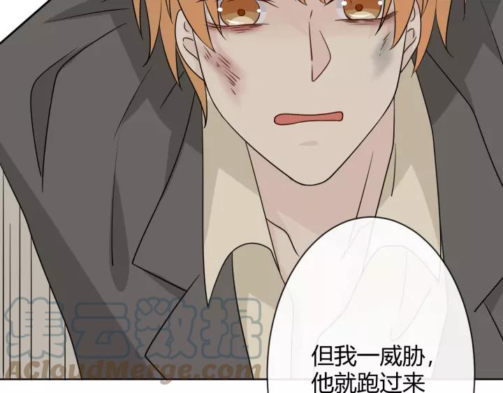 第237页