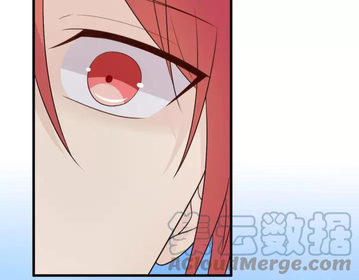 第237页