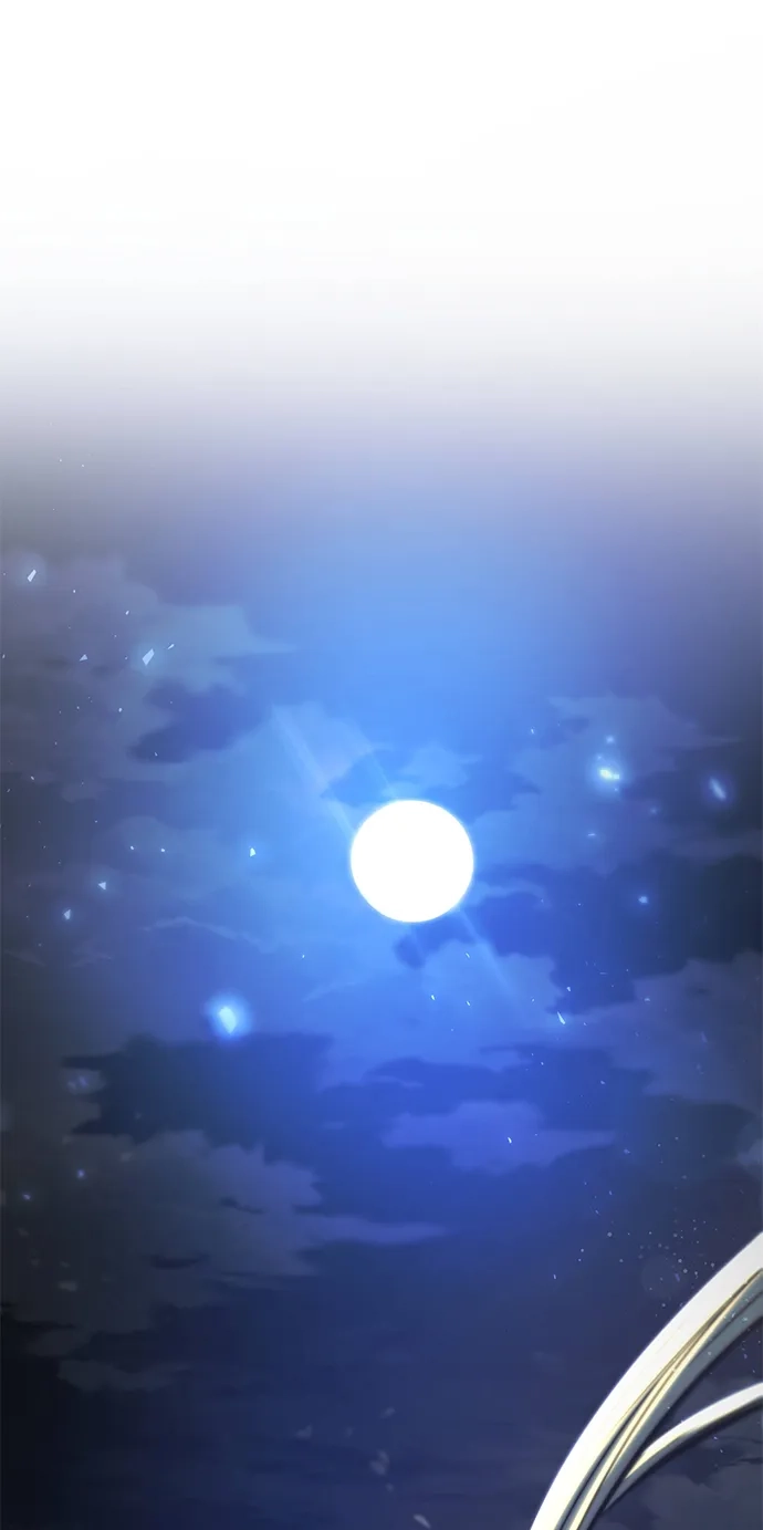 第251页