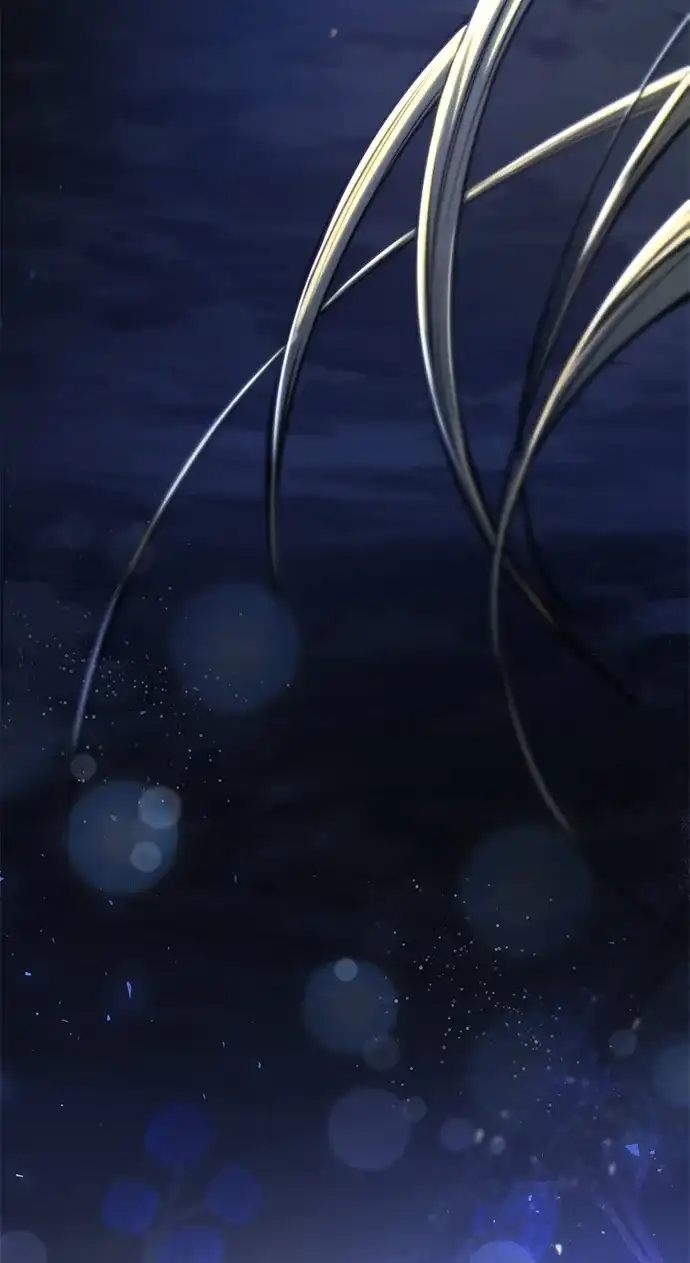 第253页