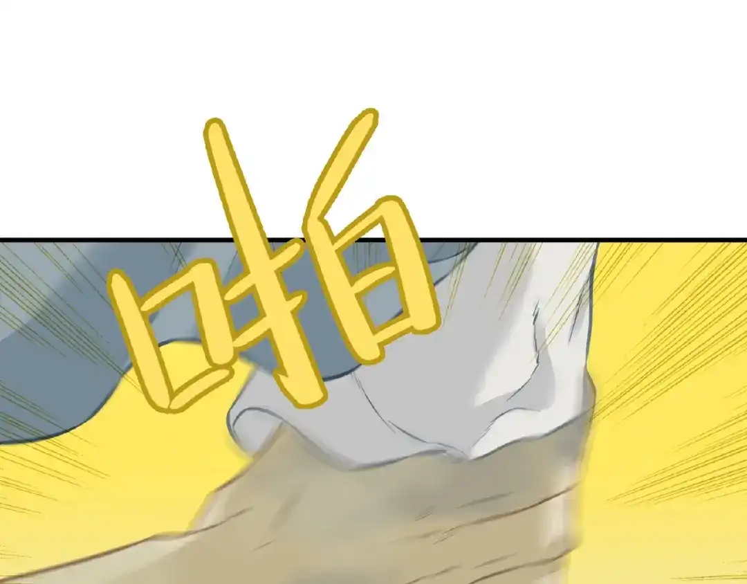 第215页