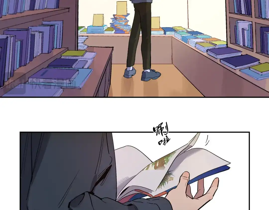 第141页