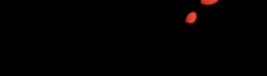 第203页