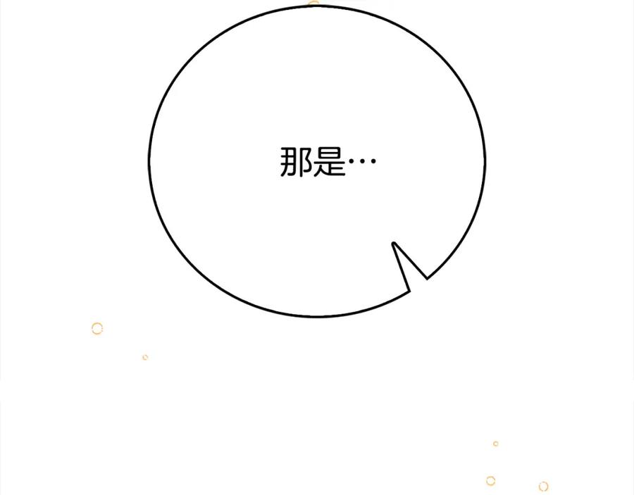 第238页