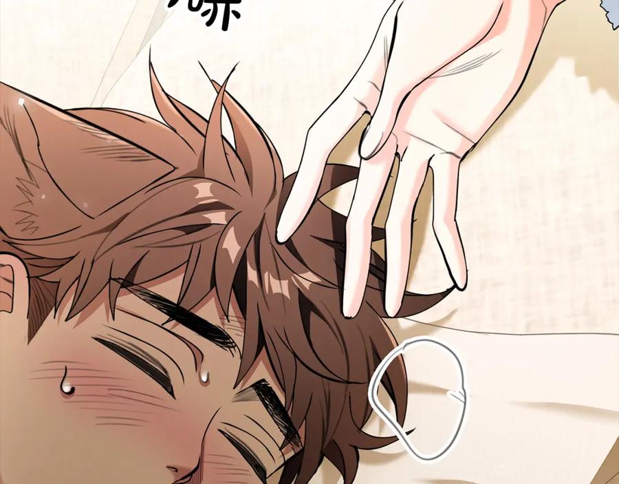 第208页