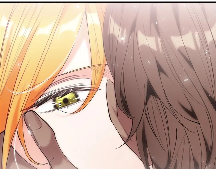 第240页