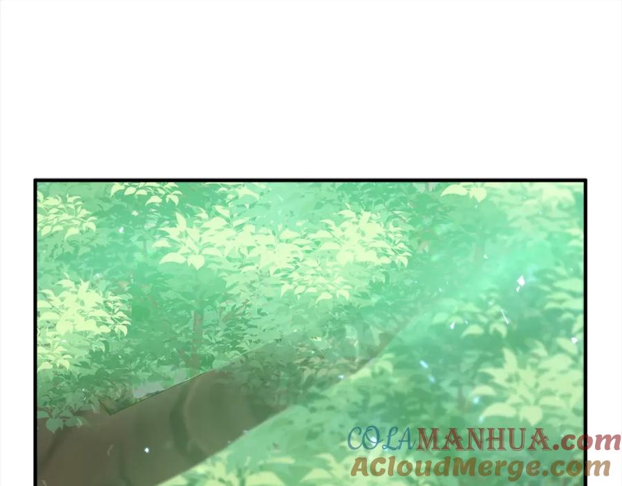 第205页