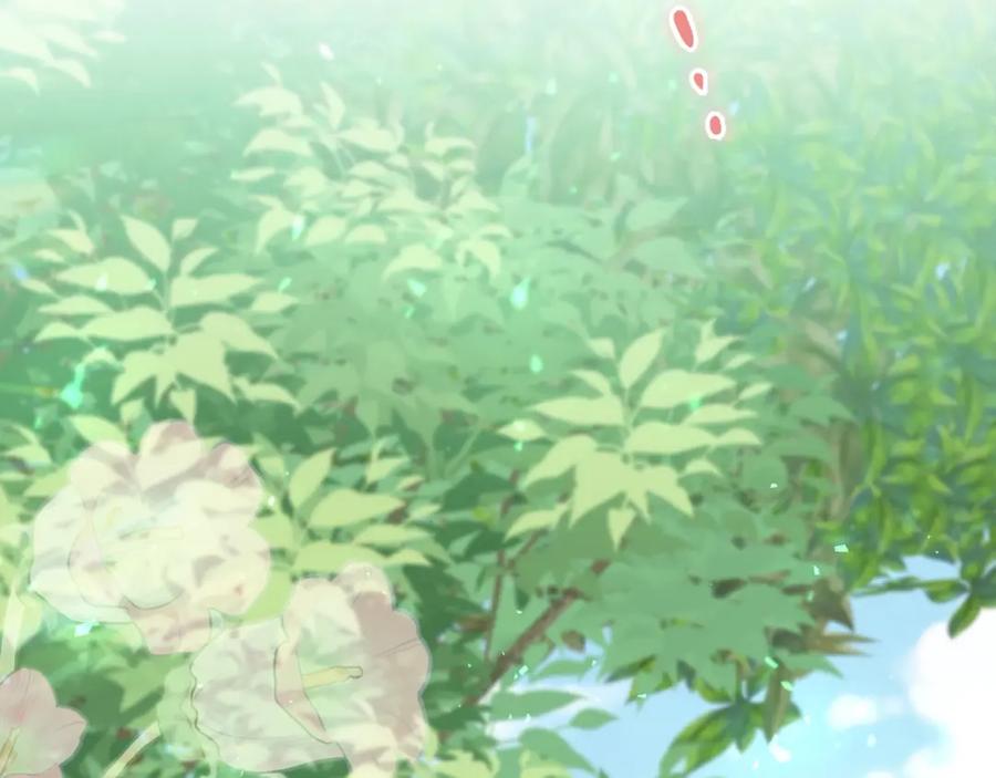 第243页