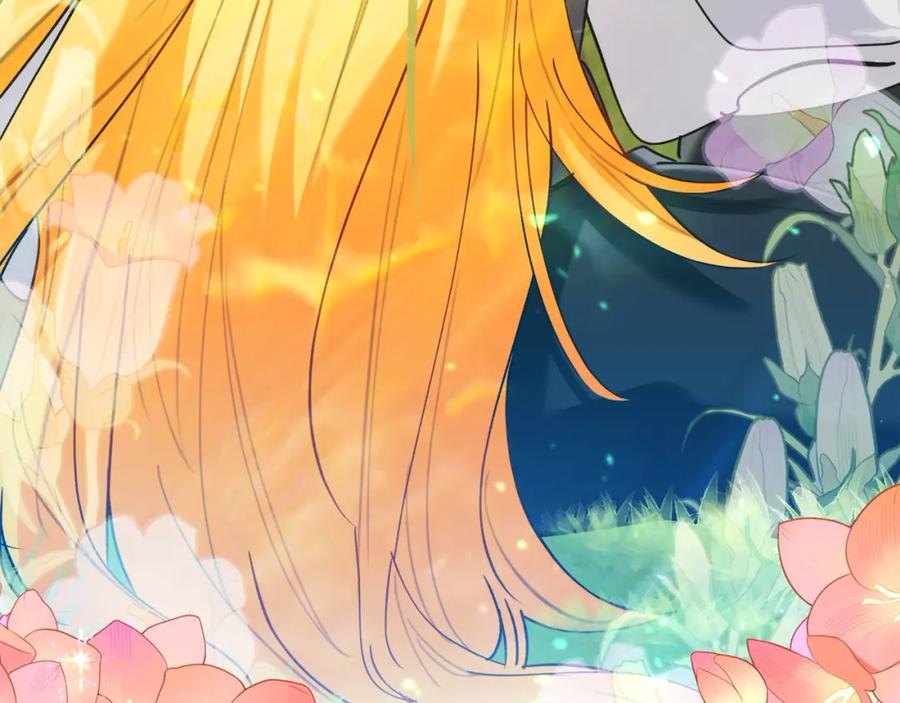第247页