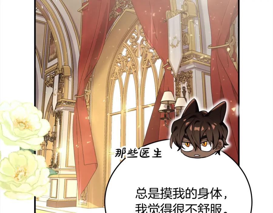 第207页